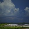 Thumbnail of related posts 184