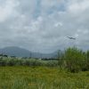 Thumbnail of related posts 038