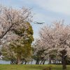 Thumbnail of related posts 065