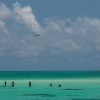 Thumbnail of related posts 053