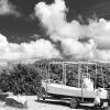 Thumbnail of related posts 058