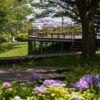 Thumbnail of related posts 053