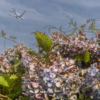 Thumbnail of related posts 014