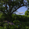 Thumbnail of related posts 061