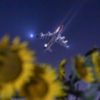 Thumbnail of related posts 070